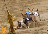 Deutsches Derby Hamburg 2014 (1007)